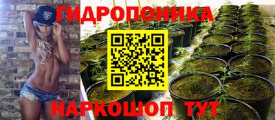 МДПВ Сланцы