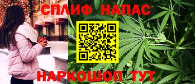 МДПВ Сланцы