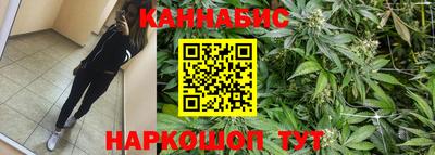 шишки Славгород