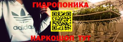 шишки Славгород