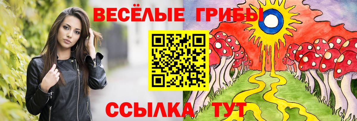 Псилоцибиновые грибы GOLDEN TEACHER  Вход с VPN  Псилоцибиновые грибы Psilocybe  Белореченск 